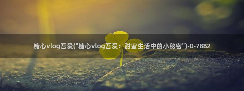 心糖vlogo