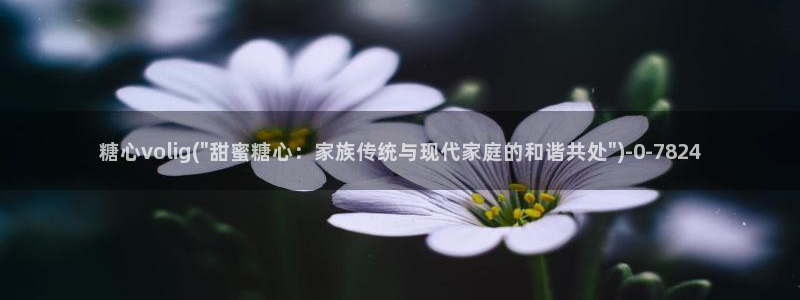  91产国在线观看糖心vlog：糖心volig(\