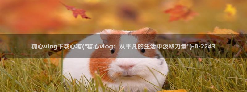  糖心vlog怎么获得免费的vip：糖心vlog下载心糖(\