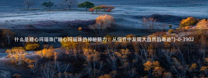  糖心vlog完整版：什么是糖心玛瑙珠(\