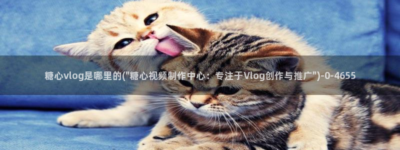  芋圆糖心vlog视频：糖心vlog是哪里的(\