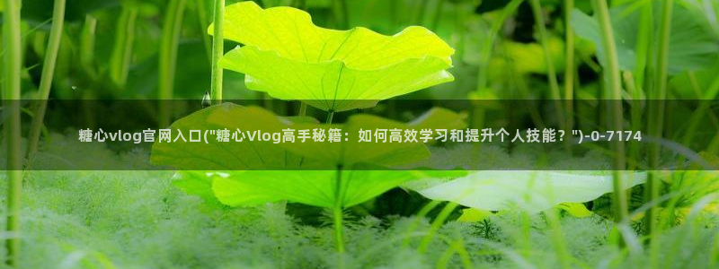  糖心vlog深夜释放自己视频糖心vlog：糖心vlog官网入