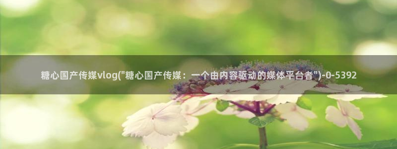  糖心vlog中国：糖心国产传媒vlog(\