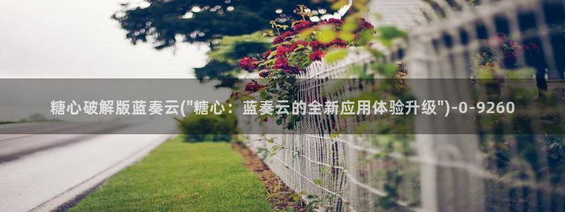 糖心vlog最新版本下载