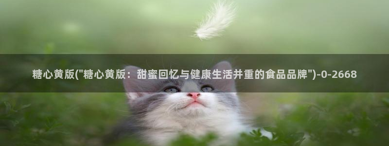糖心vlog艺人