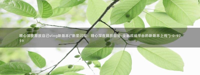 糖心视频vlog娜娜