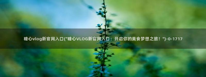 糖心vlog如何下载